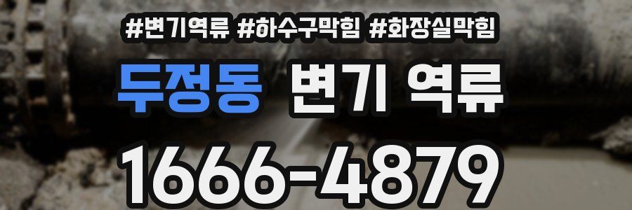 두정동 변기 역류