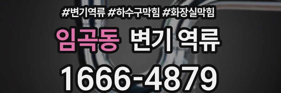 임곡동 변기 역류