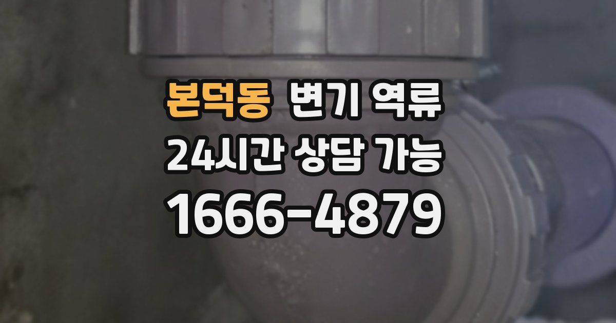 본덕동 변기 역류