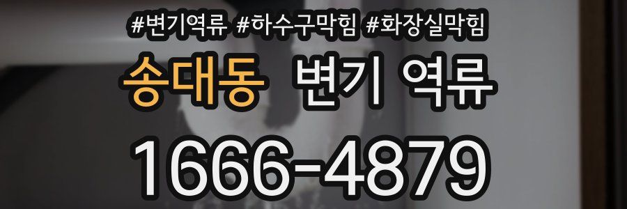 송대동 변기 역류