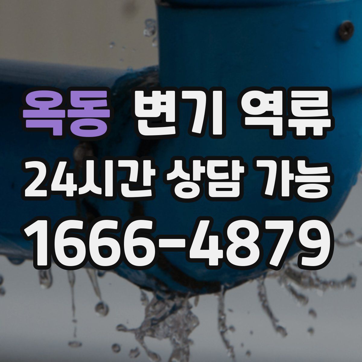 옥동 변기 역류