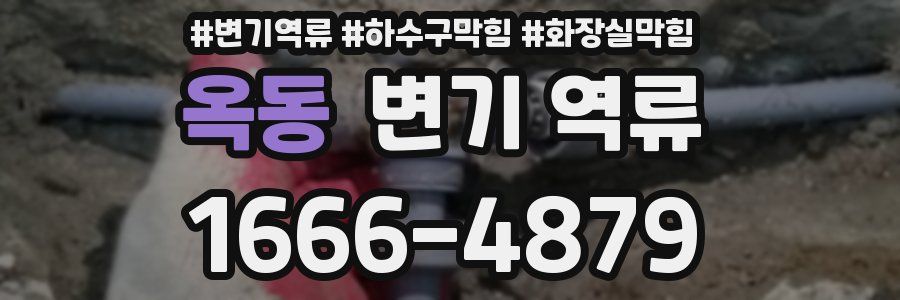 옥동 변기 역류