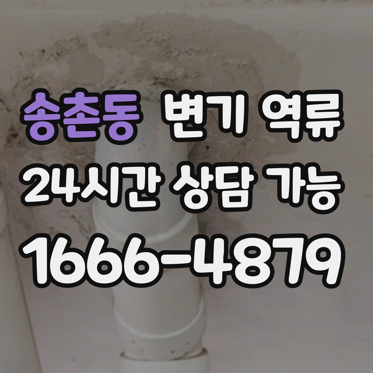 송촌동 변기 역류