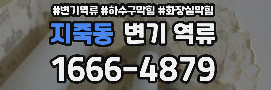 지죽동 변기 역류