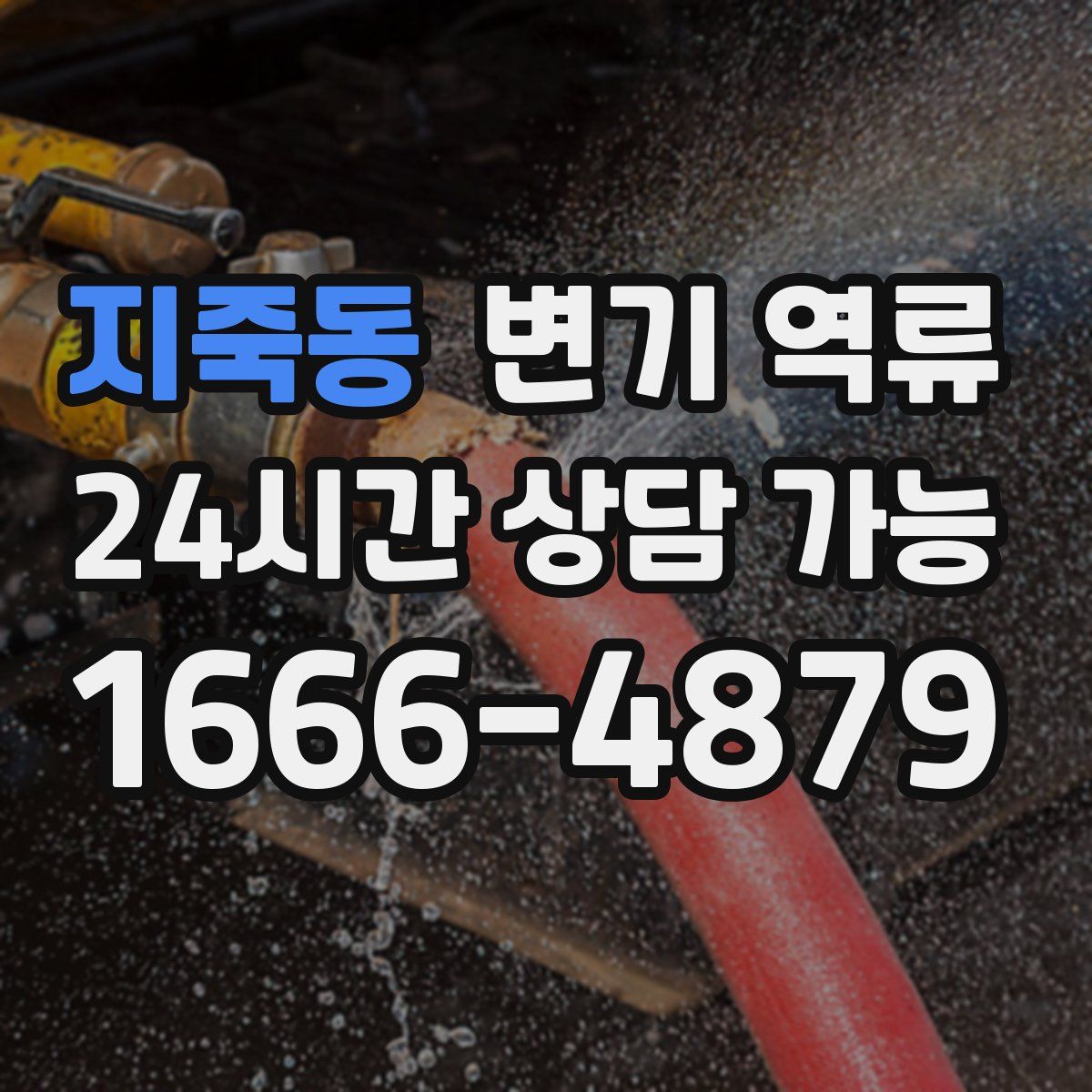 지죽동 변기 역류