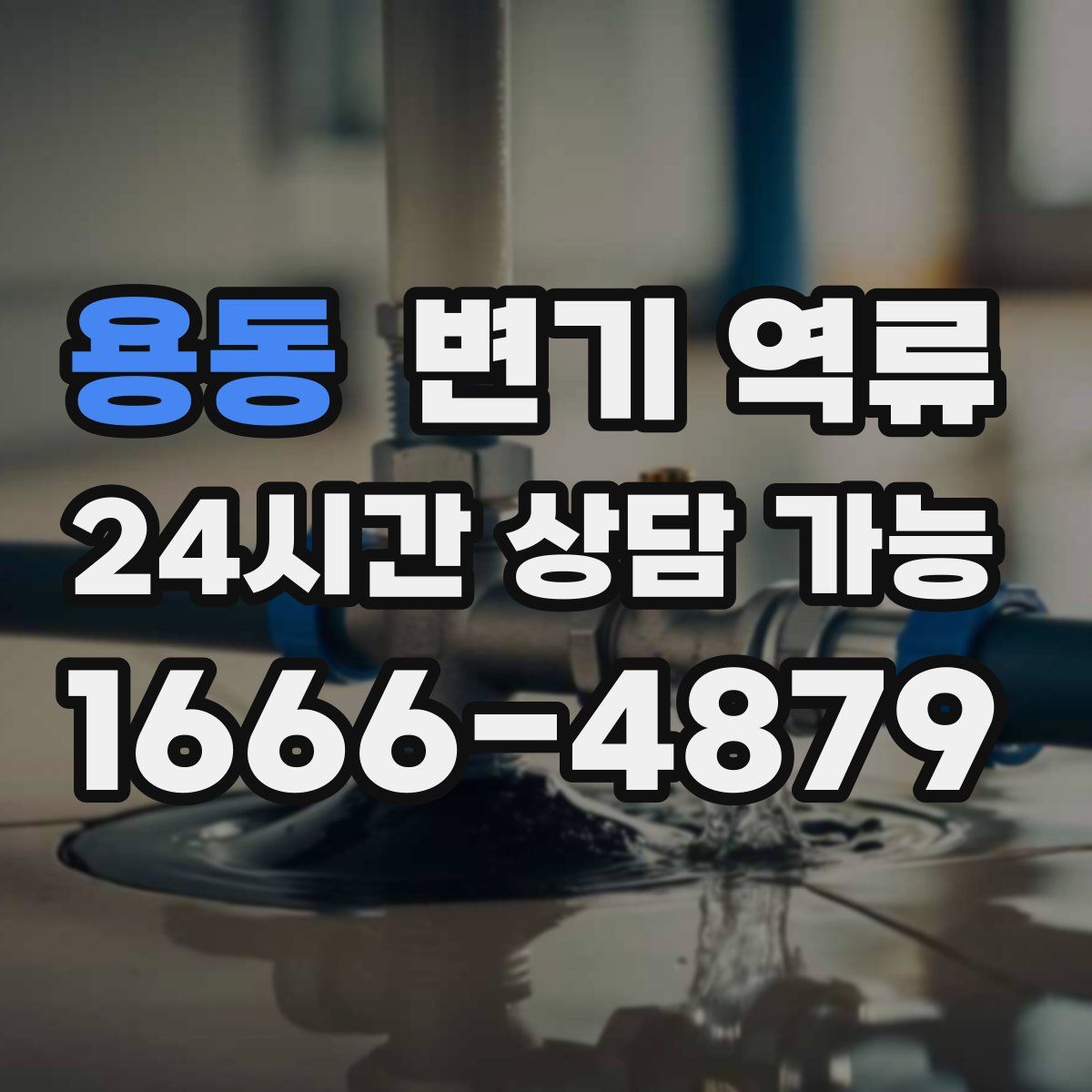 용동 변기 역류