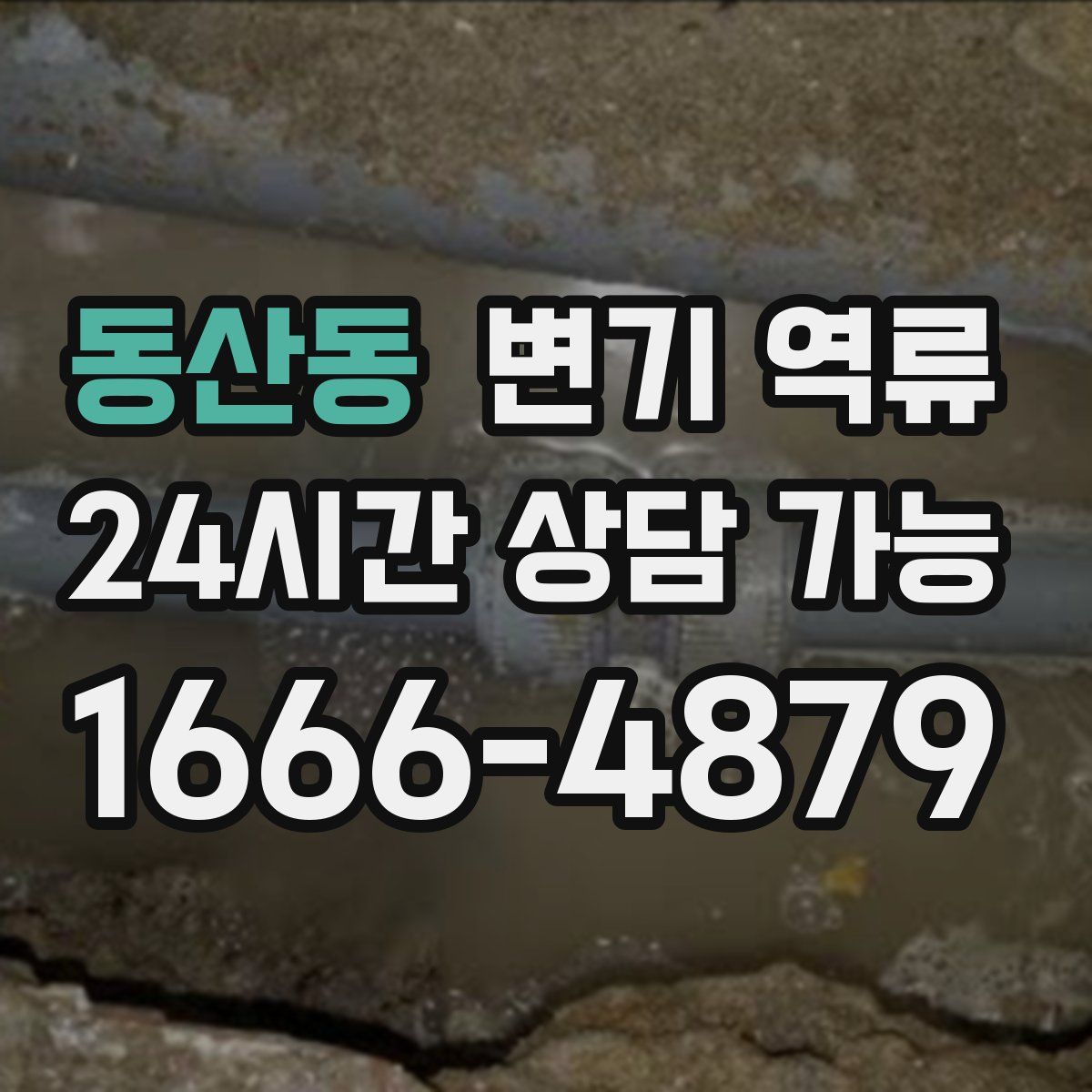 동산동 변기 역류