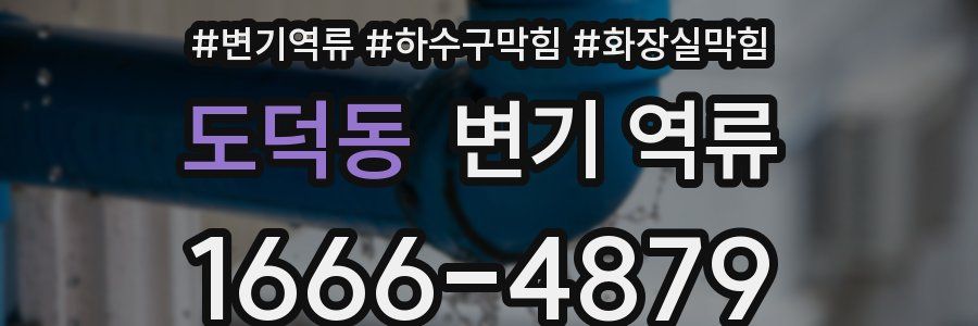 도덕동 변기 역류