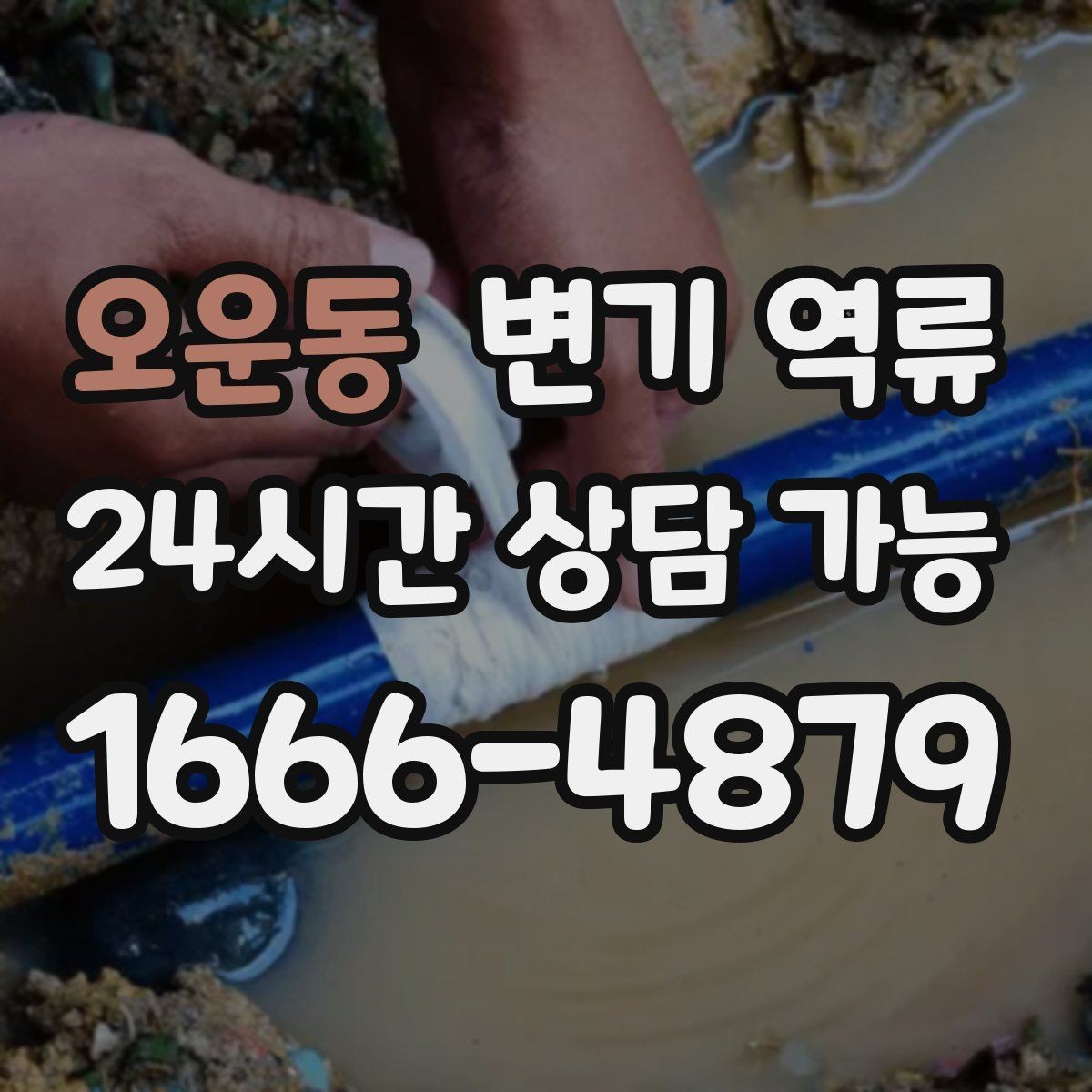 오운동 변기 역류 변기에 버리면 안 되는 것 정리