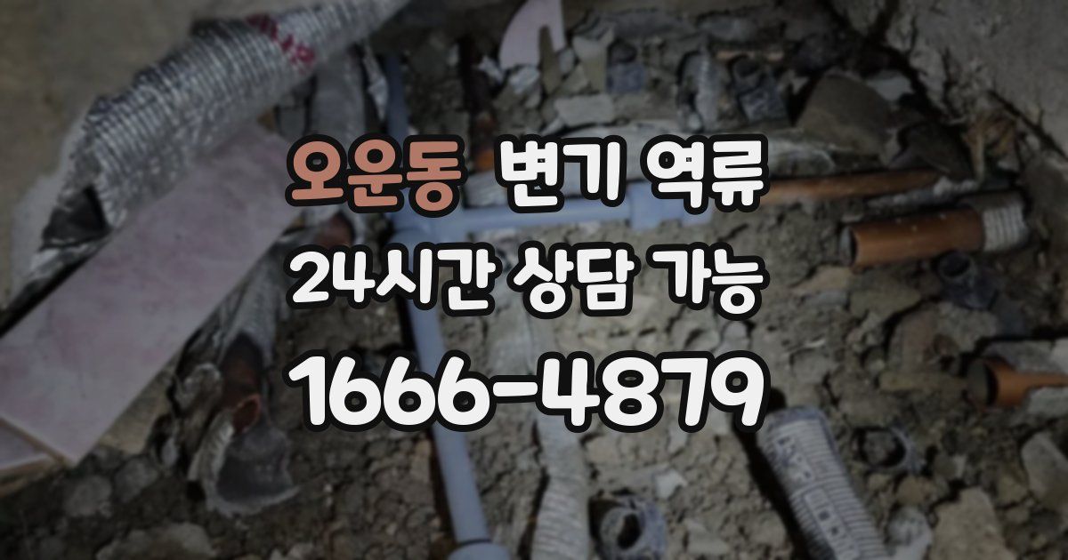 오운동 변기 역류