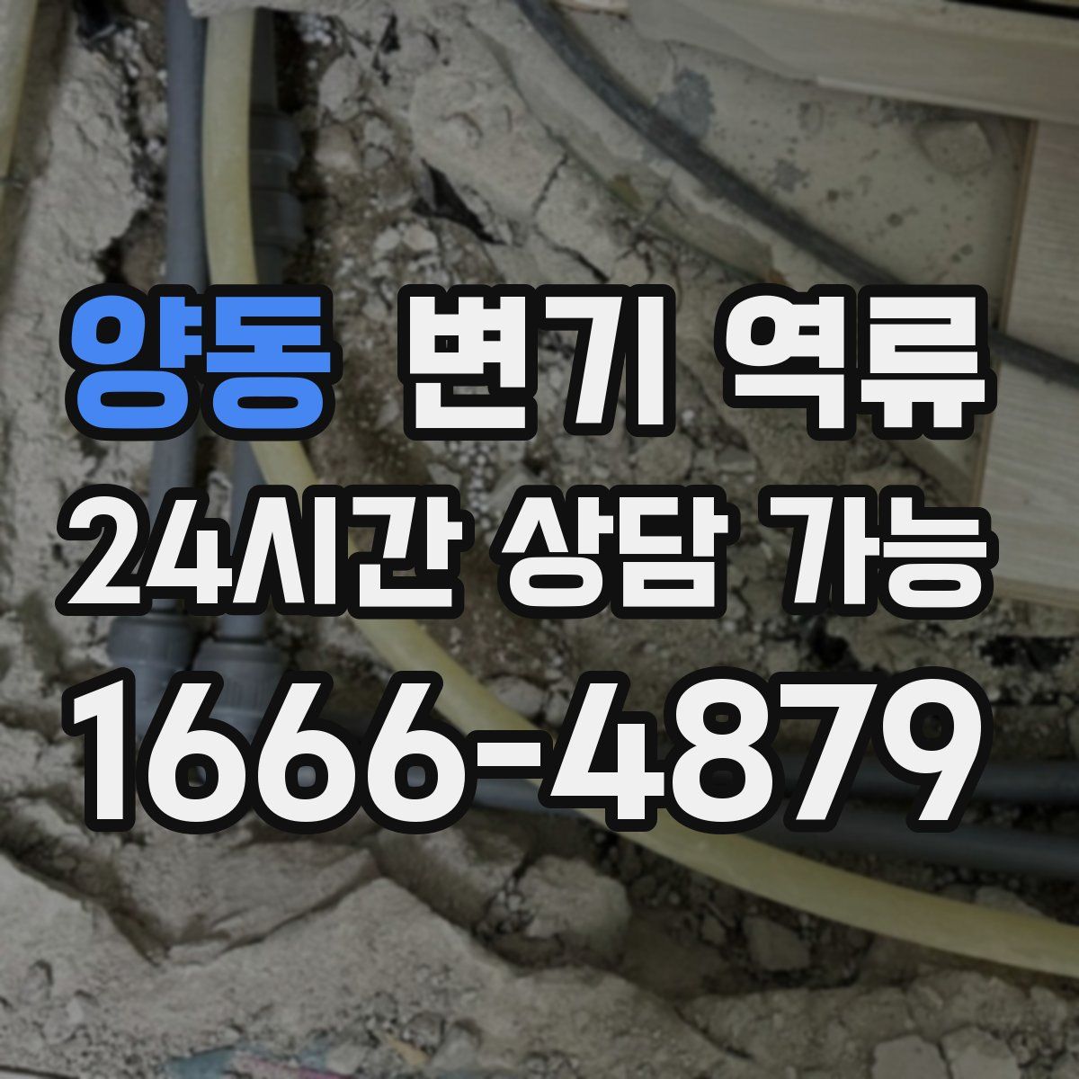 양동 변기 역류