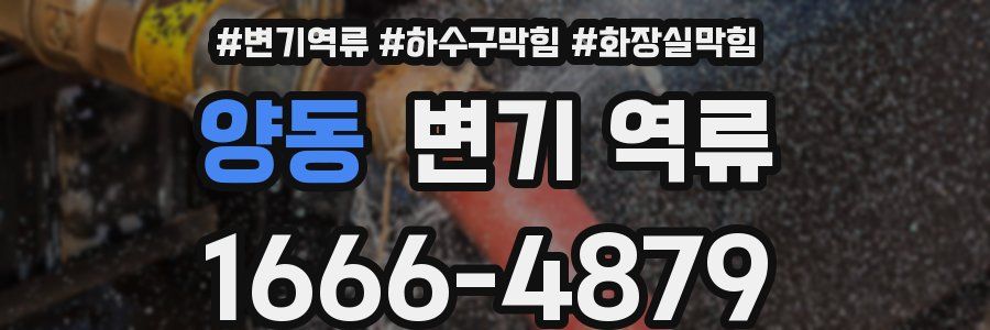 양동 변기 역류