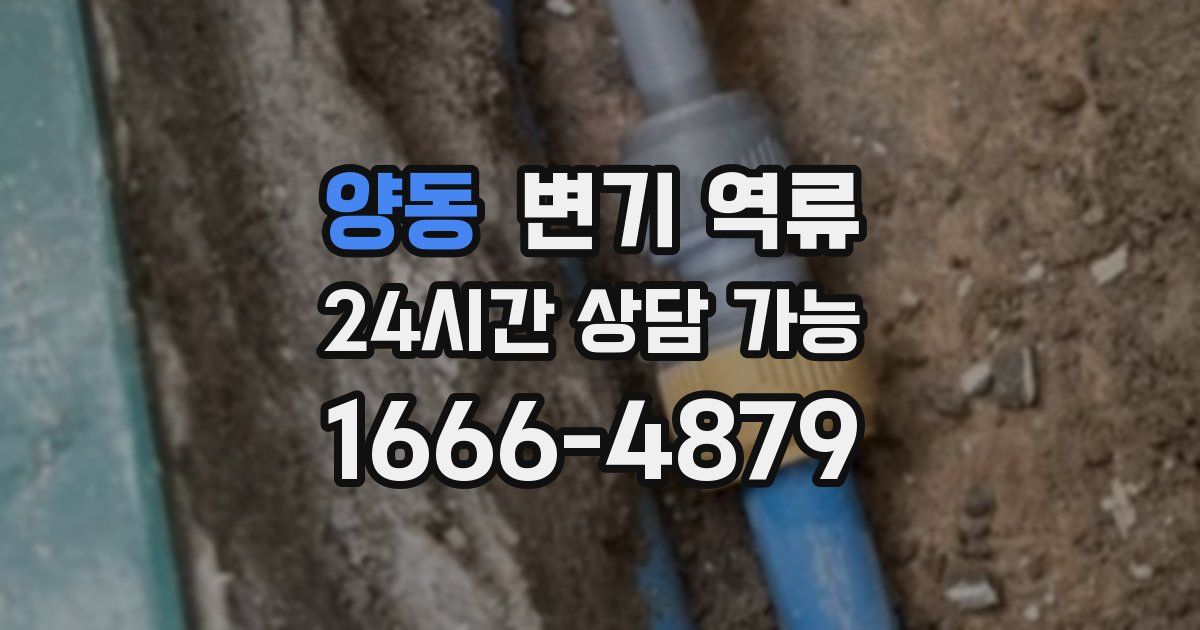 양동 변기 역류