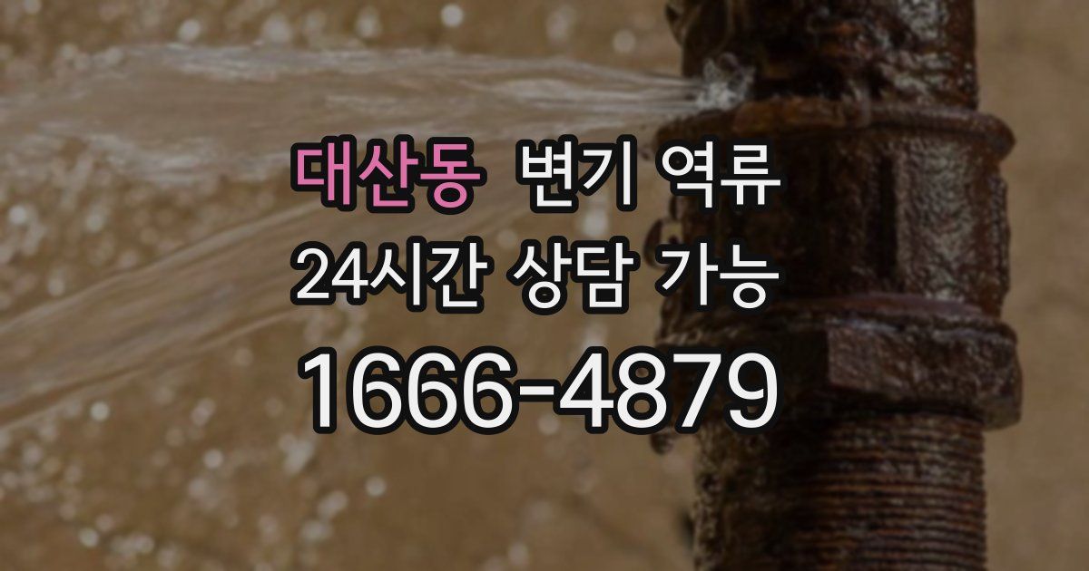 대산동 변기 역류