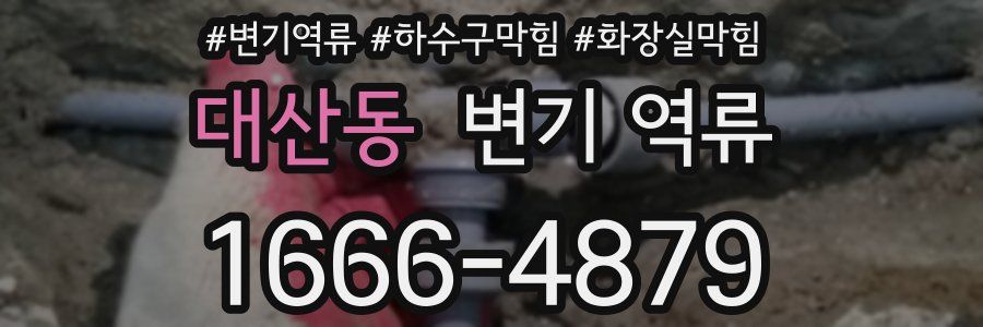 대산동 변기 역류