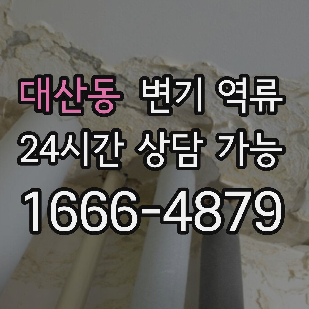 대산동 변기 역류