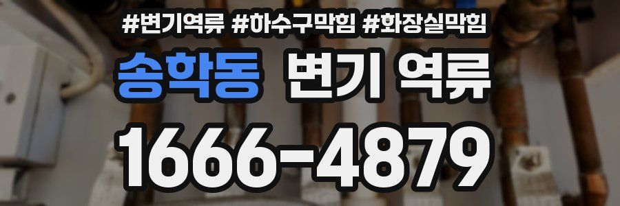 송학동 변기 역류