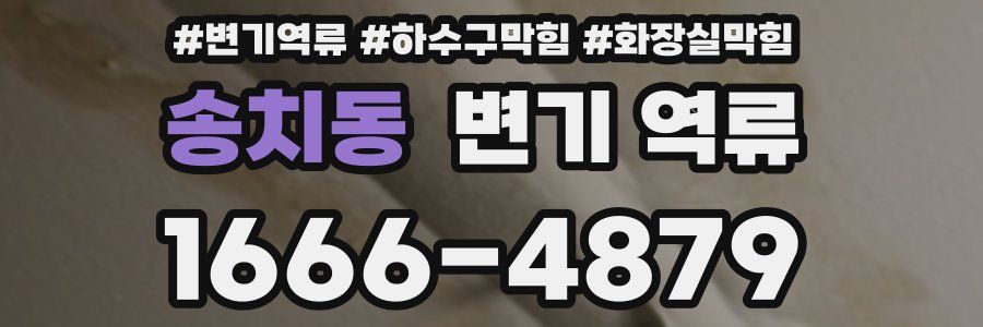 송치동 변기 역류