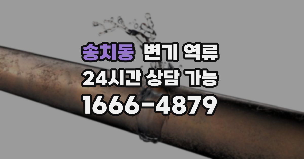 송치동 변기 역류