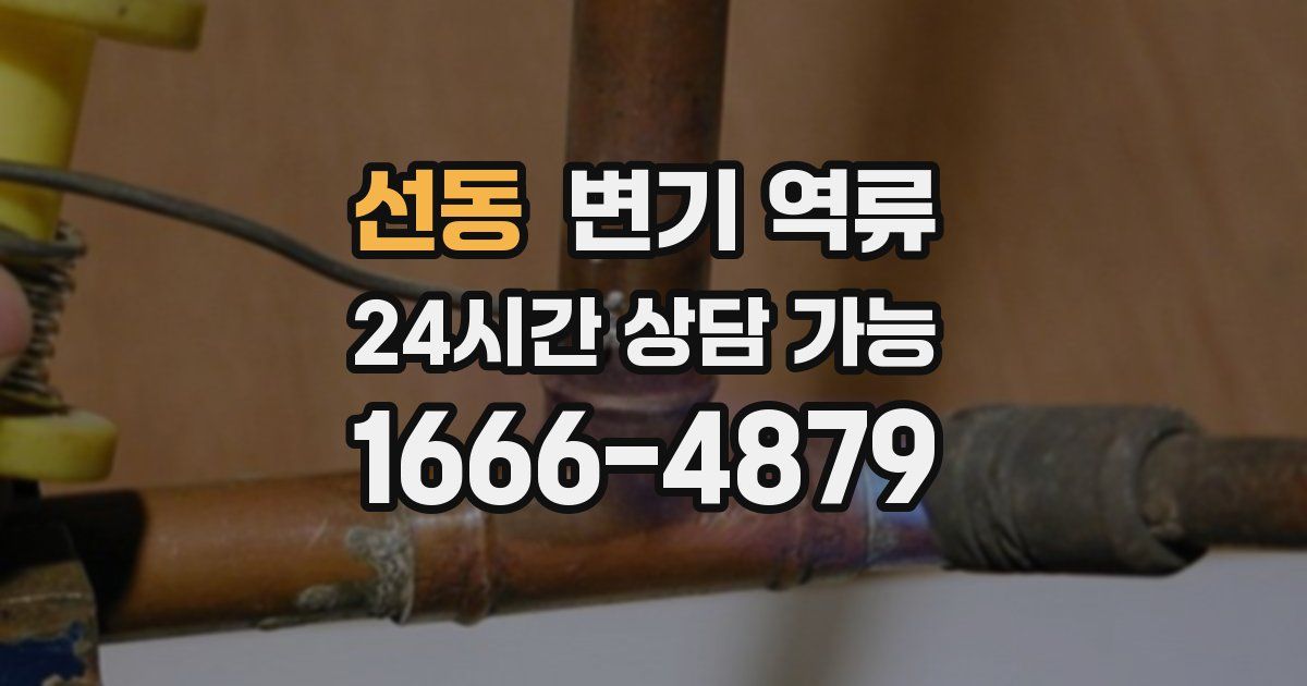 선동 변기 역류