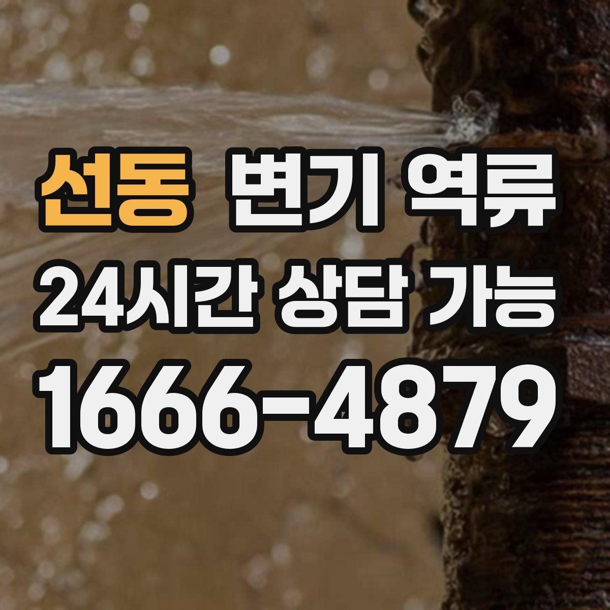 선동 변기 역류