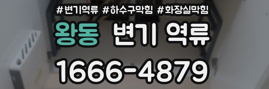 왕동 변기 역류