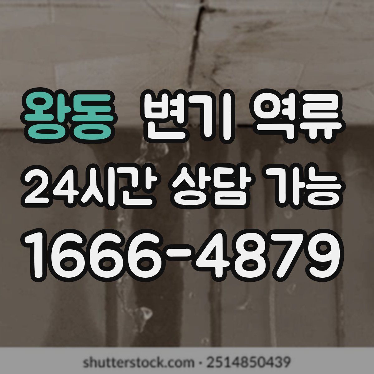 왕동 변기 역류