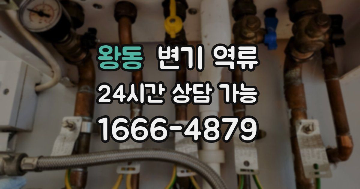 왕동 변기 역류