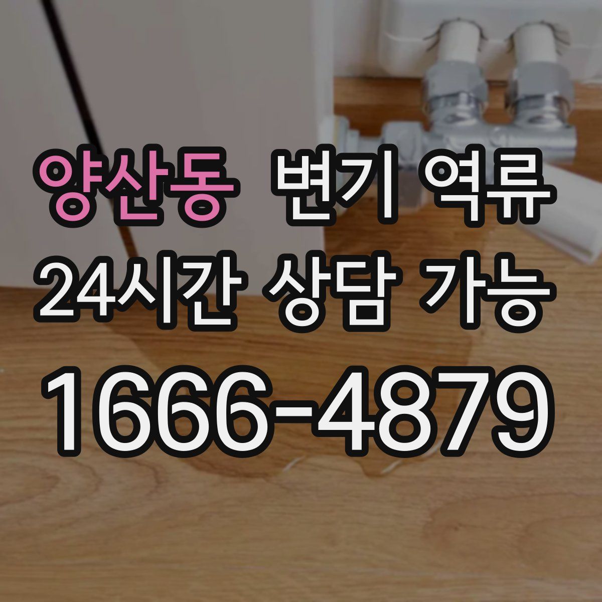 양산동 변기 역류