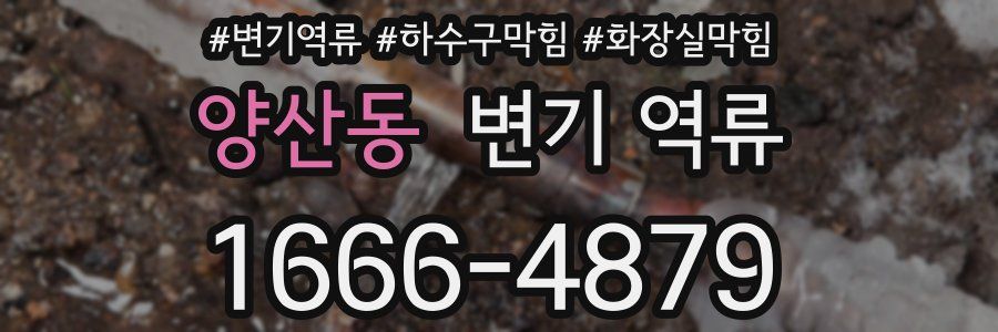 양산동 변기 역류