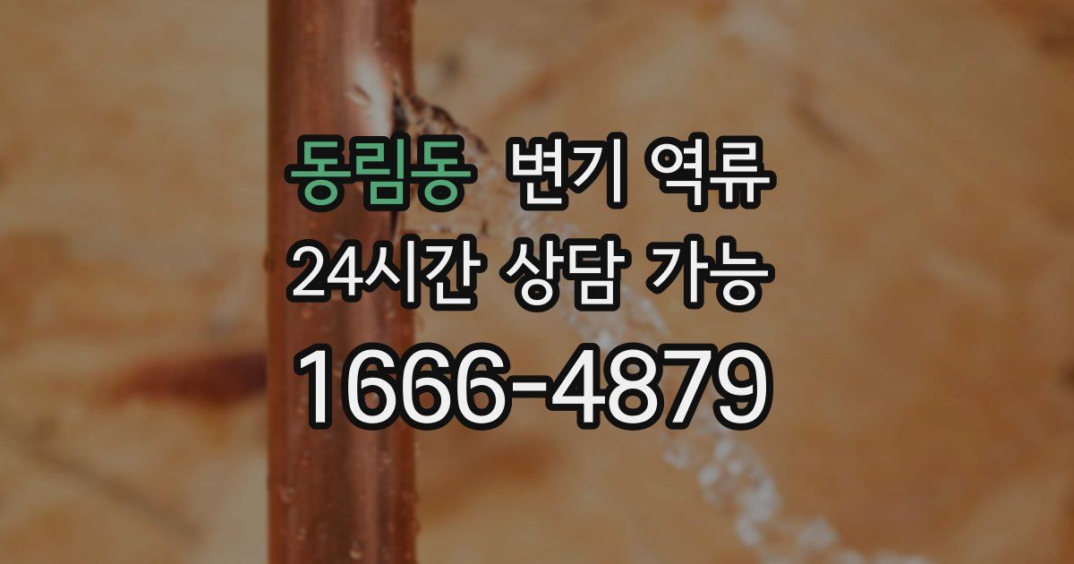 동림동 변기 역류