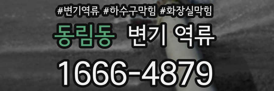 동림동 변기 역류