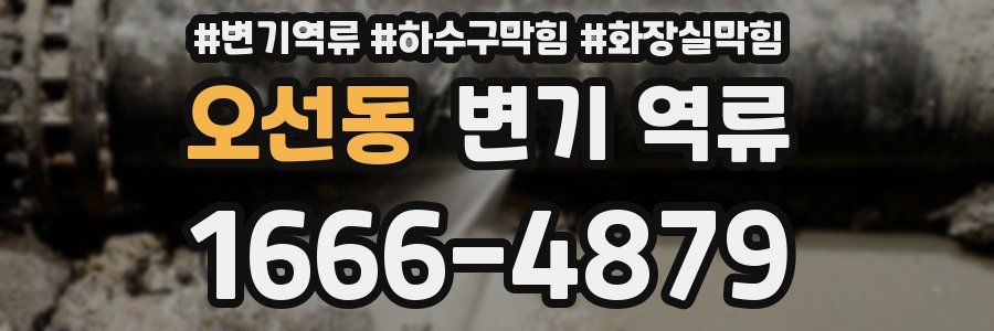 오선동 변기 역류