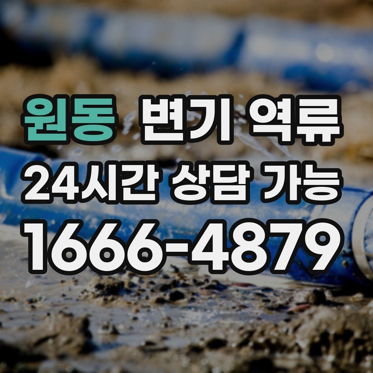원동 변기 역류 동시에 느려진 배수구를 체크해야 하는 이유