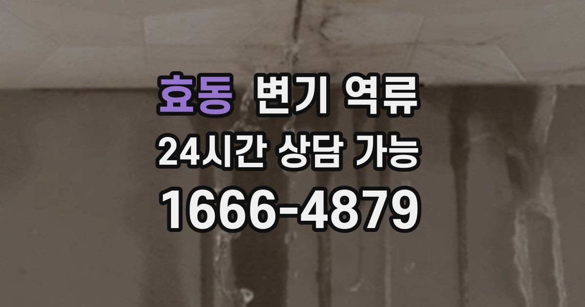 효동 변기 역류