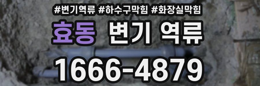 효동 변기 역류