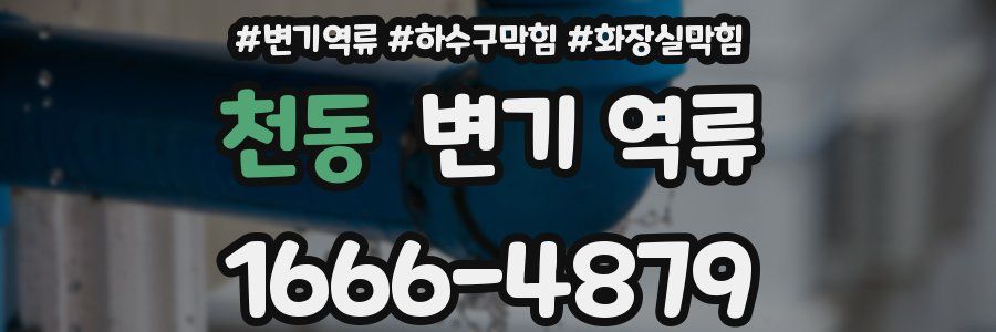 천동 변기 역류