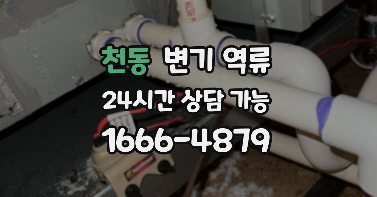 천동 변기 역류