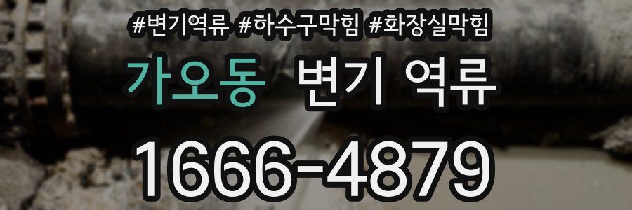 가오동 변기 역류