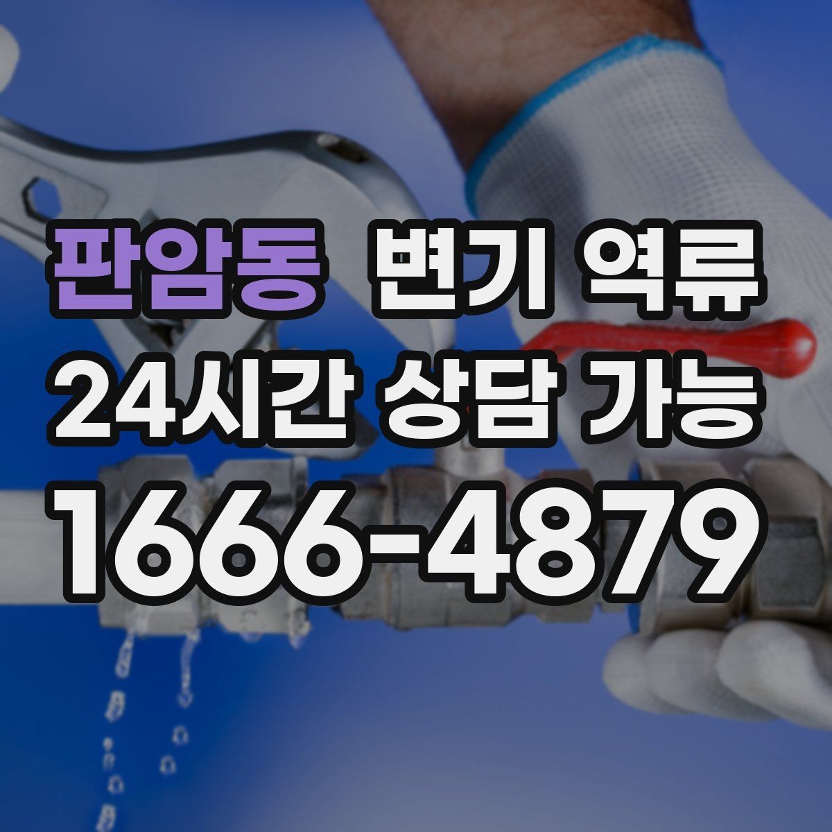 판암동 변기 역류 수건으로 막는 임시 조치가 위험한 이유