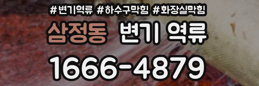 삼정동 변기 역류