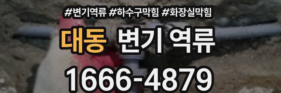 대동 변기 역류