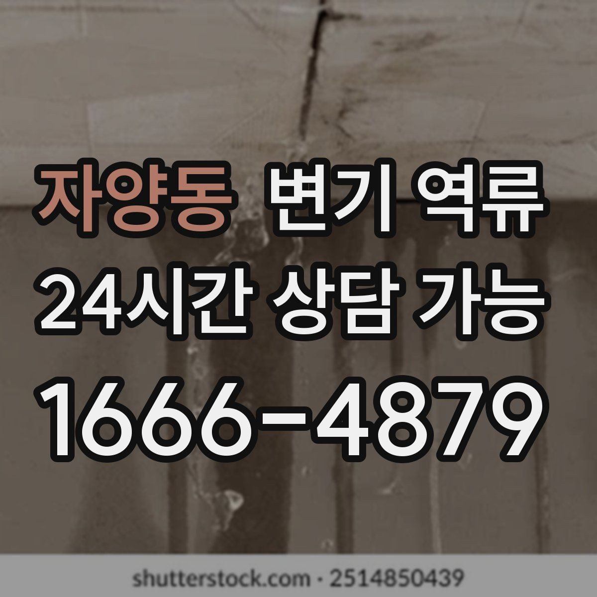 자양동 변기 역류 오염물이 보일 때 절대 하면 안 되는 행동