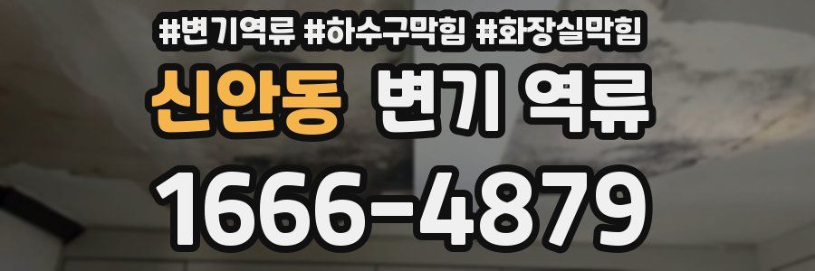 신안동 변기 역류