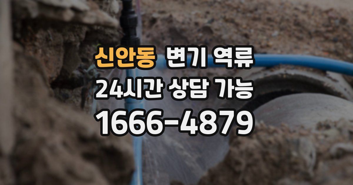 신안동 변기 역류