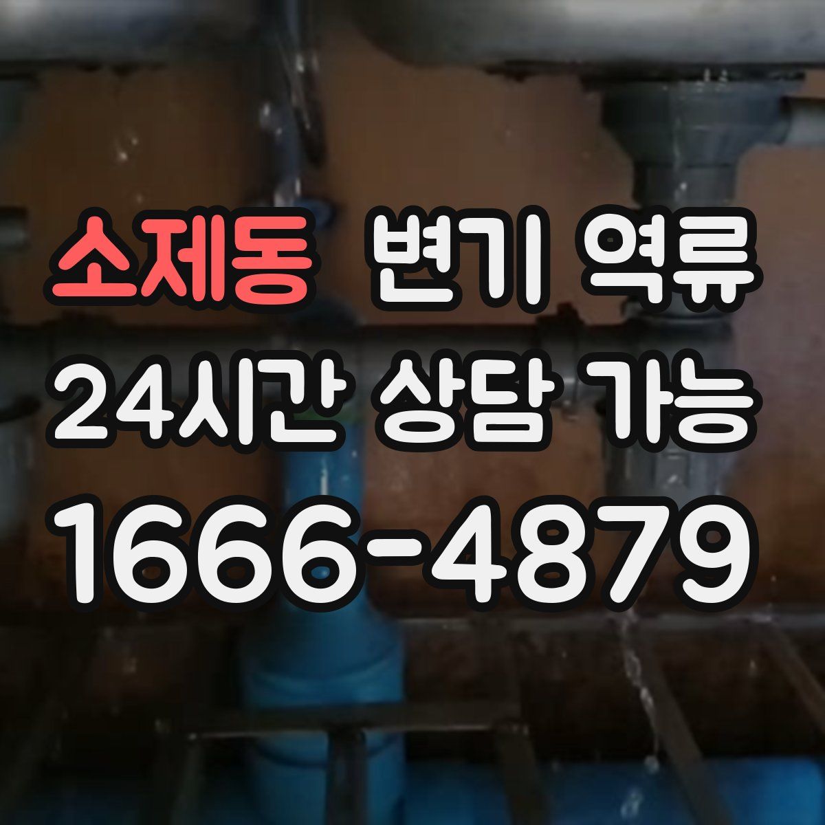 소제동 변기 역류