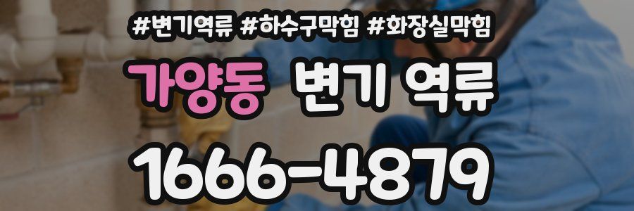 가양동 변기 역류