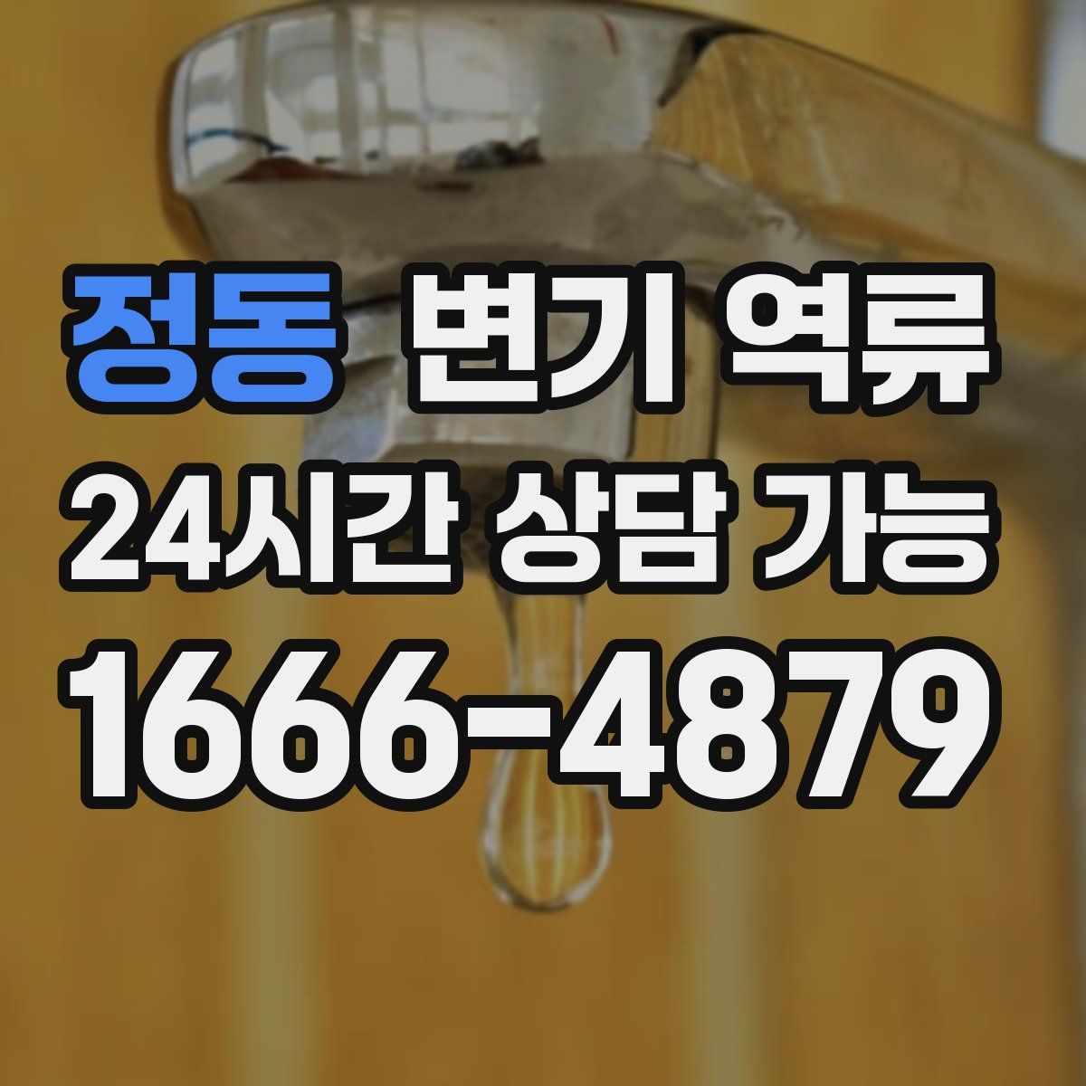 정동 변기 역류