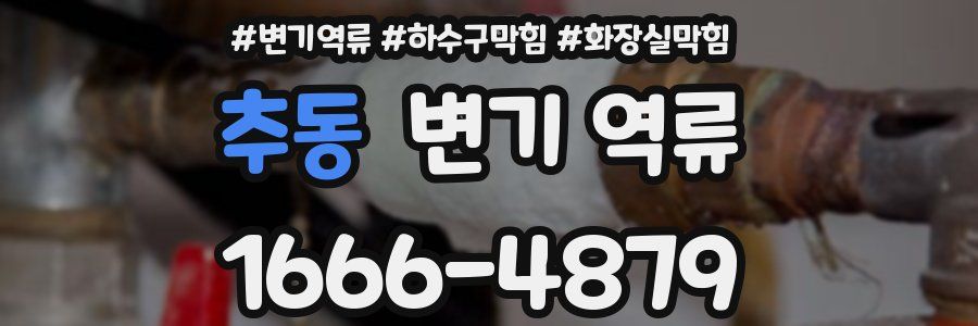 추동 변기 역류