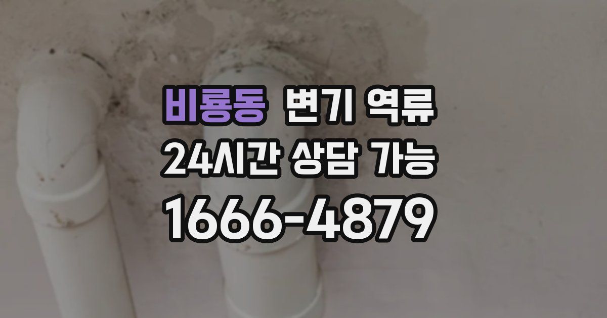 비룡동 변기 역류